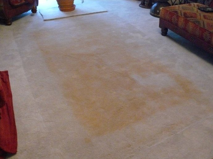 How To Clean Yellow Throw Up Out Of Carpet at Greg Ganley blog