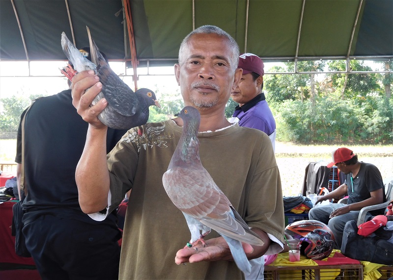 Markum; Sang Legenda Merpati Pati