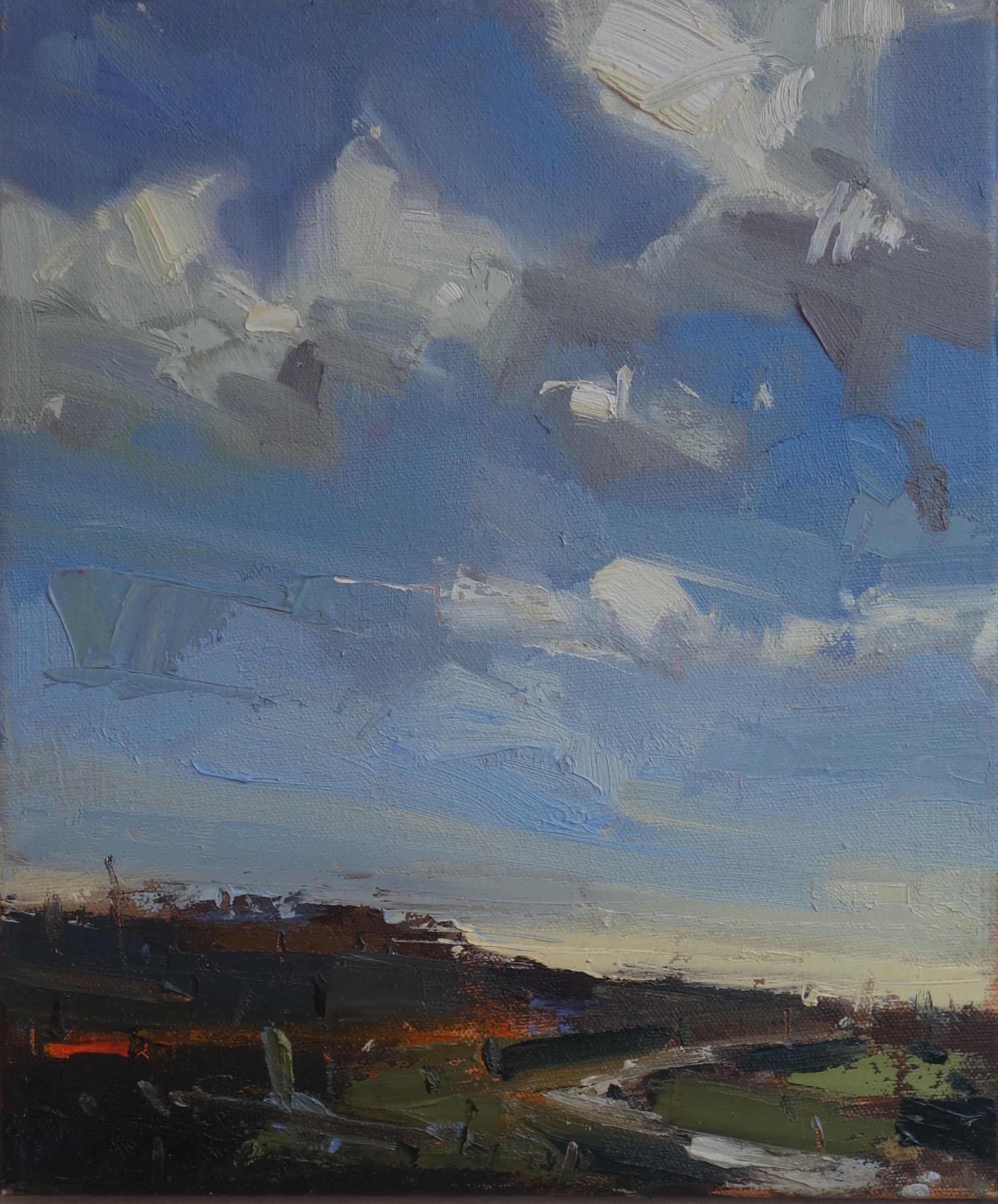 The Big Sky Claremont Contemporary Art