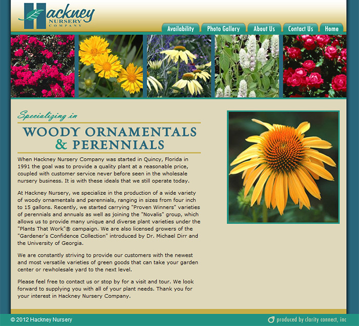 Hackney Nursery CCI Client