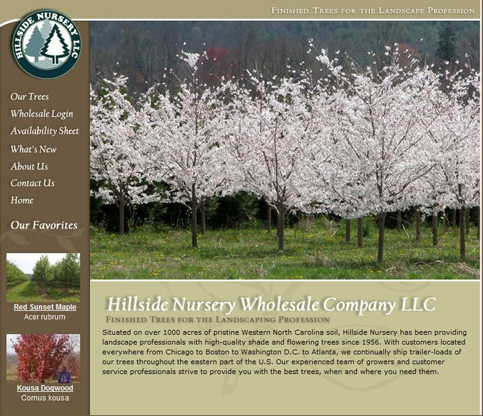 Hillside Nursery CCI Client