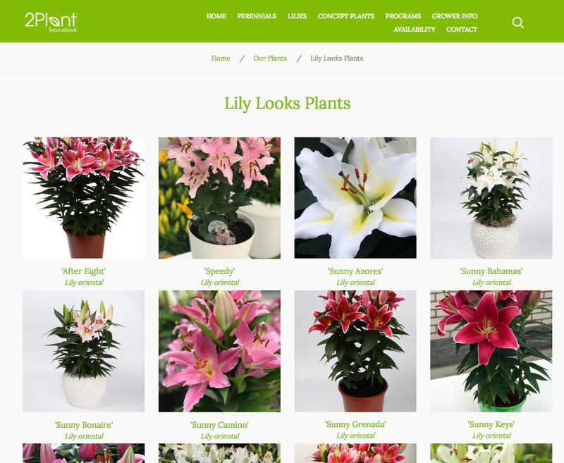 2 Plant International CCI Client