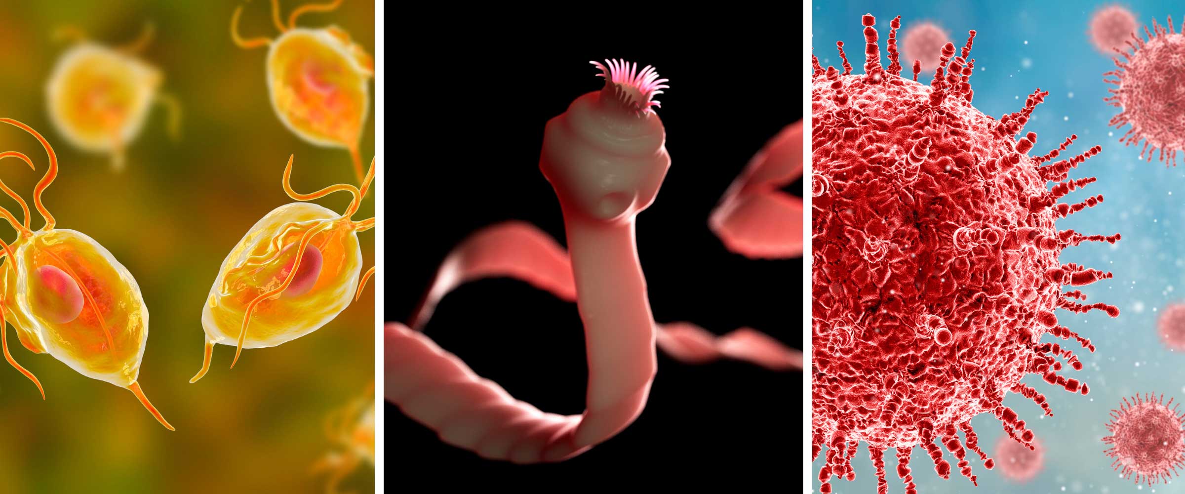 Clark Zapper – Clark Zapper