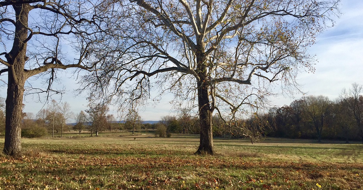 Rentals Clarke County Properties