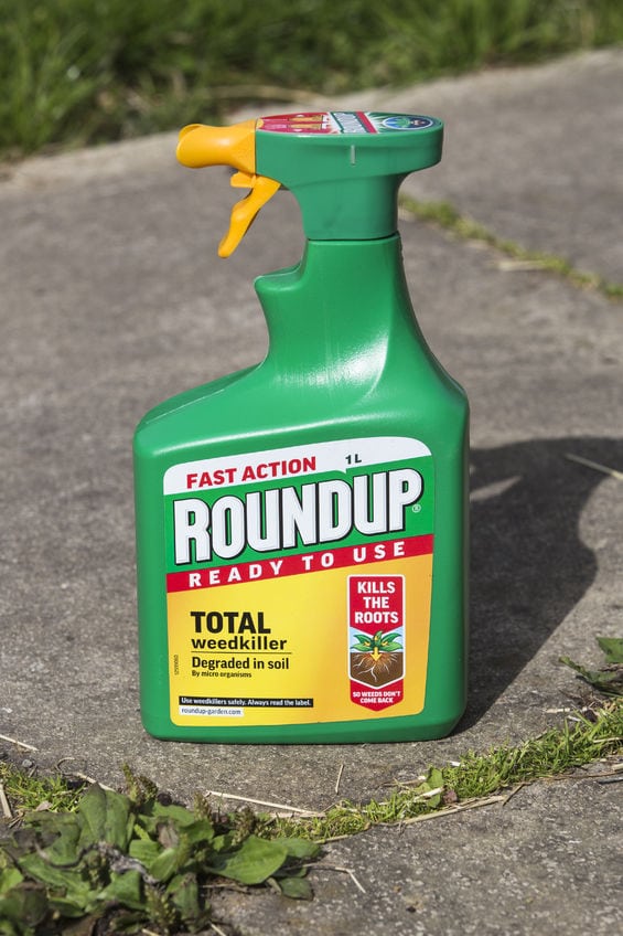 Monsanto Roundup Weed Killer Caused Cancer, Jury Finds