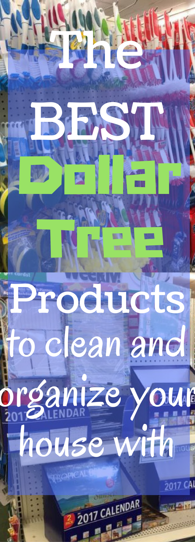 25+ Must Buy Dollar Tree Cleaning Supplies Clarks Condensed