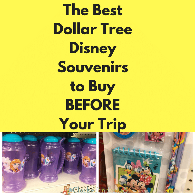 The Best Dollar Tree Disney Souvenirs to Buy BEFORE your Trip