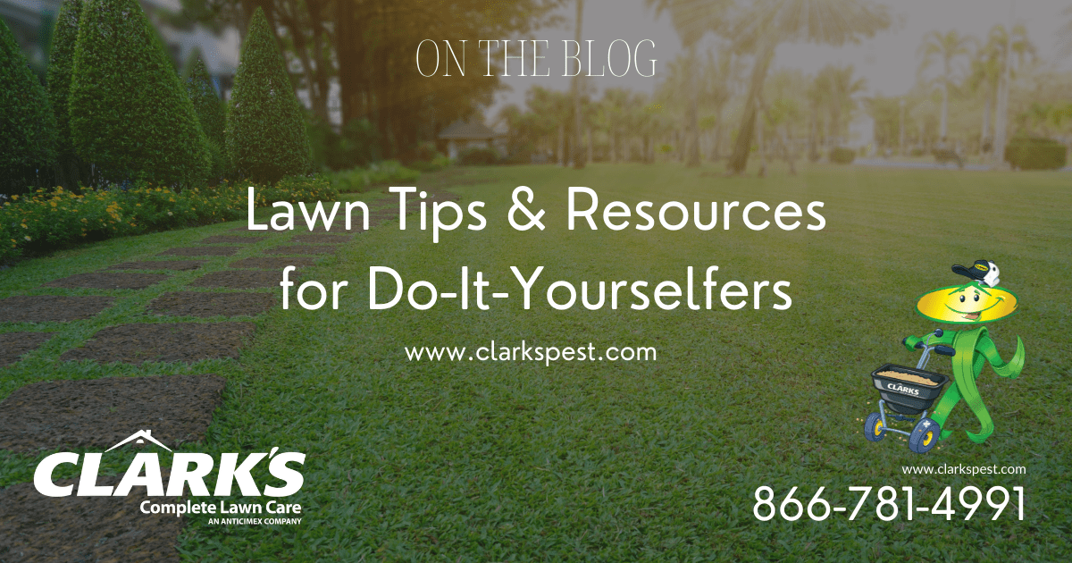 Blog Clark's Termite & Pest Control South Carolina