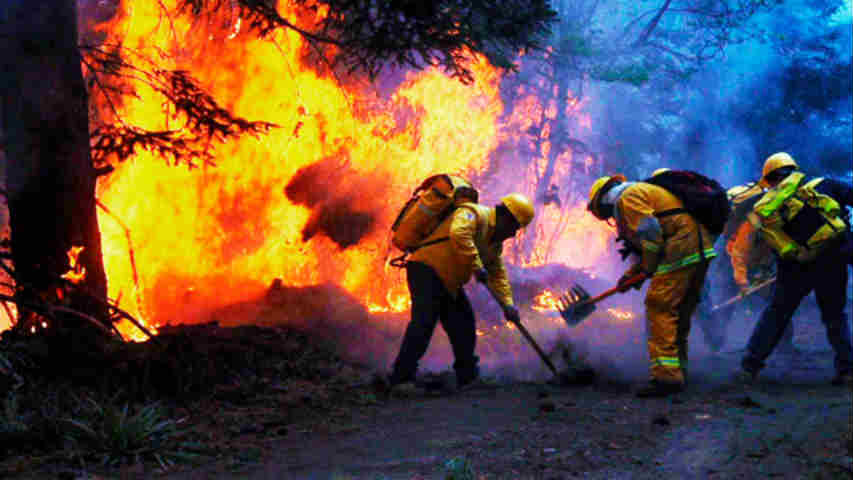 ¡México en llamas!...reportan 87 incendios forestales en 18 estados