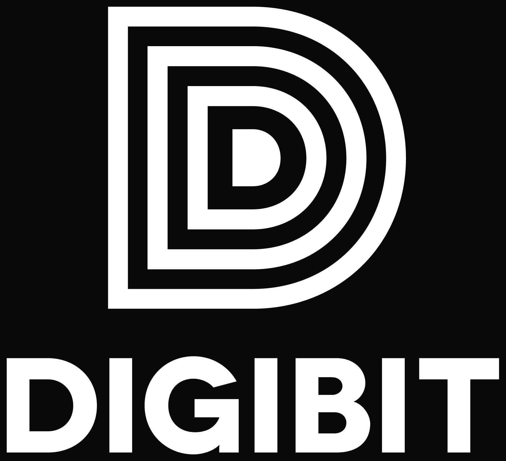 Digibit Aria Piccolo2TB
