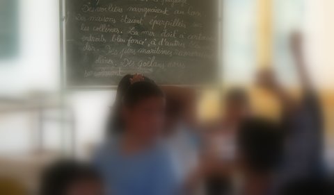 Projet Pedagogique Cycle 2 En Classe De Mer Classe De Mer