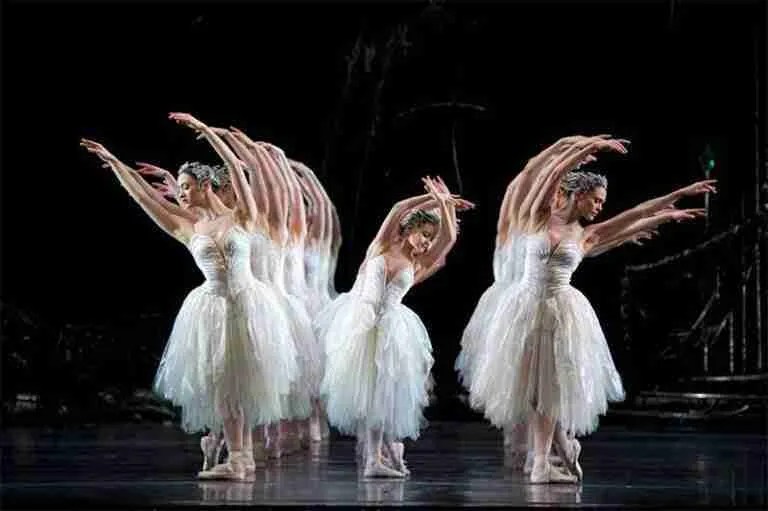 The Royal Ballet Swan Lake The Classical Source