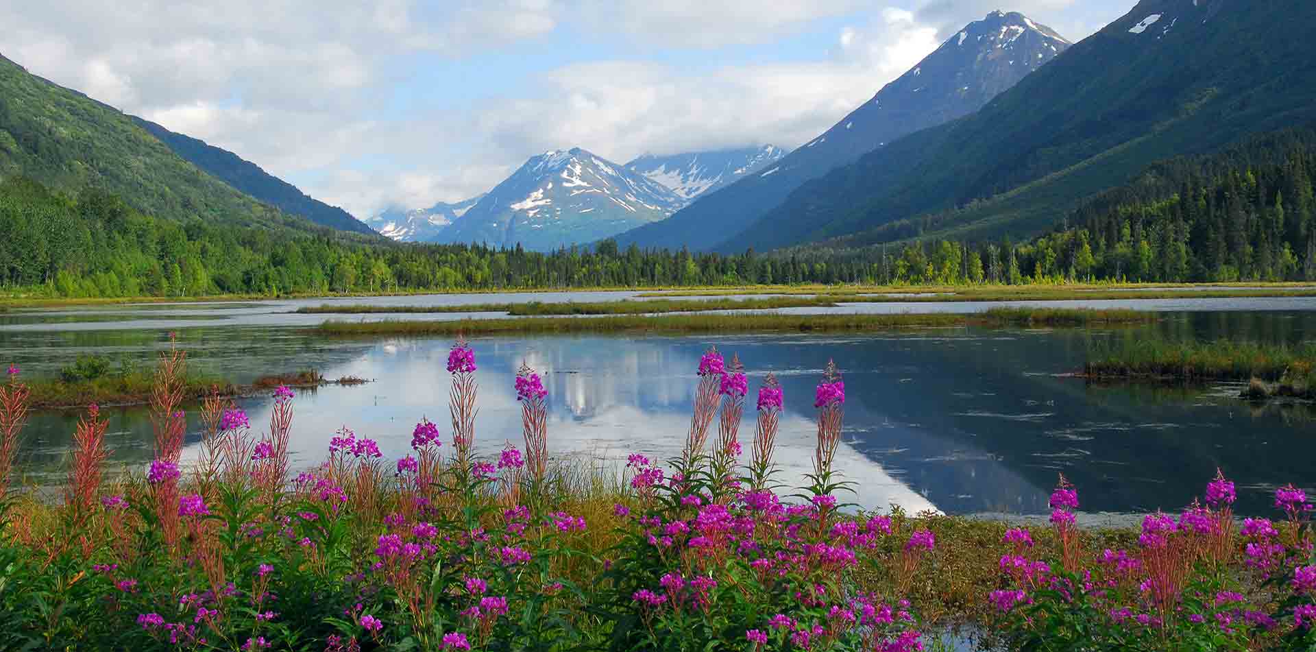 Beyond the Shore Exploring the Best of Alaska's Wilderness Classic