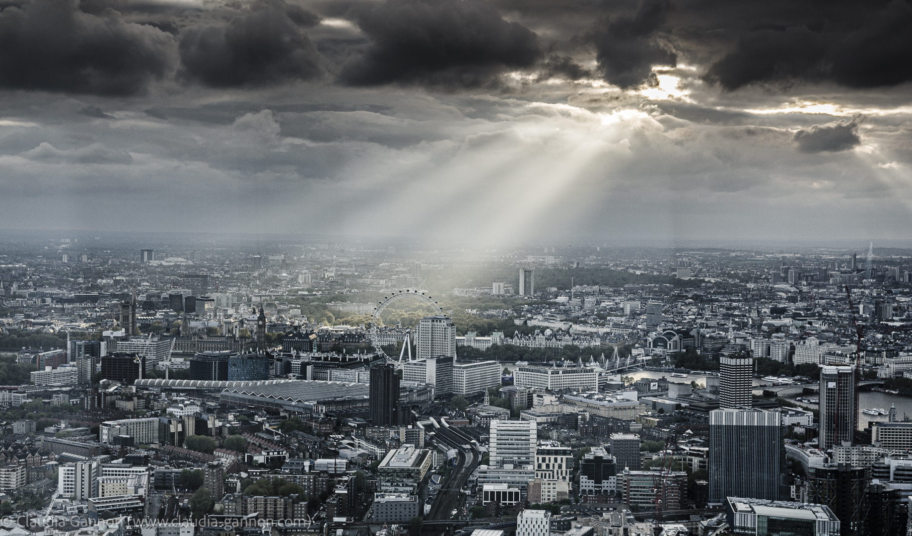 Zoom backgrounds — Claudia Gannon Award Winning Photographer