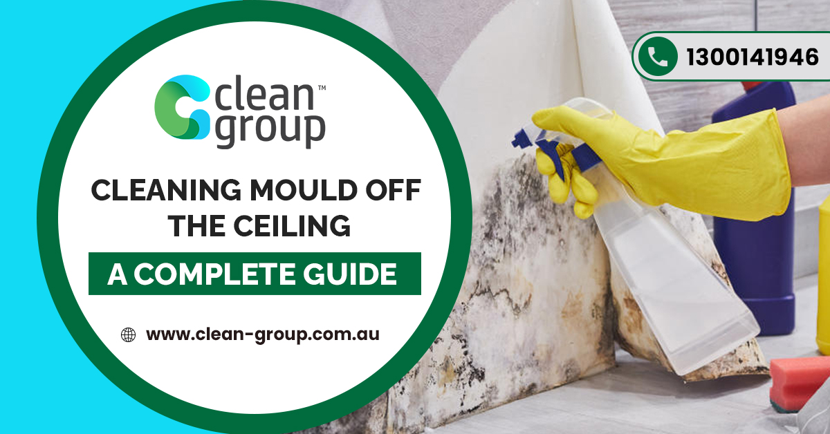 Cleaning Mould off the Ceiling A Complete Guide