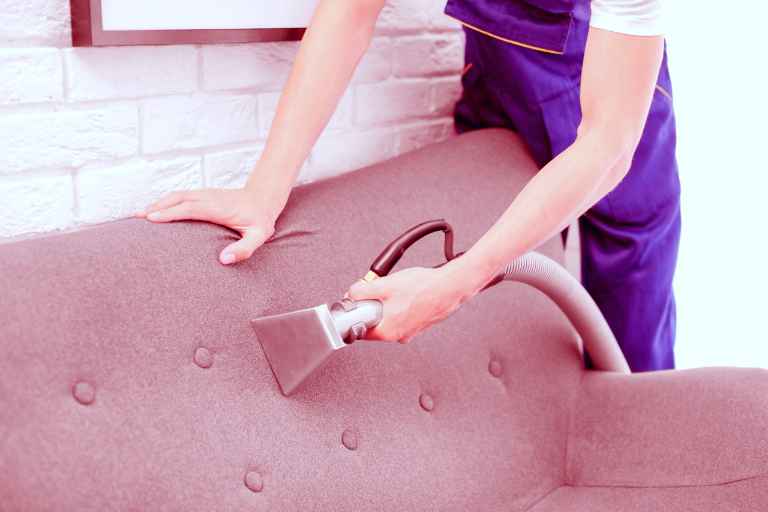 How to Clean a Fabric Sofa A Full Guide