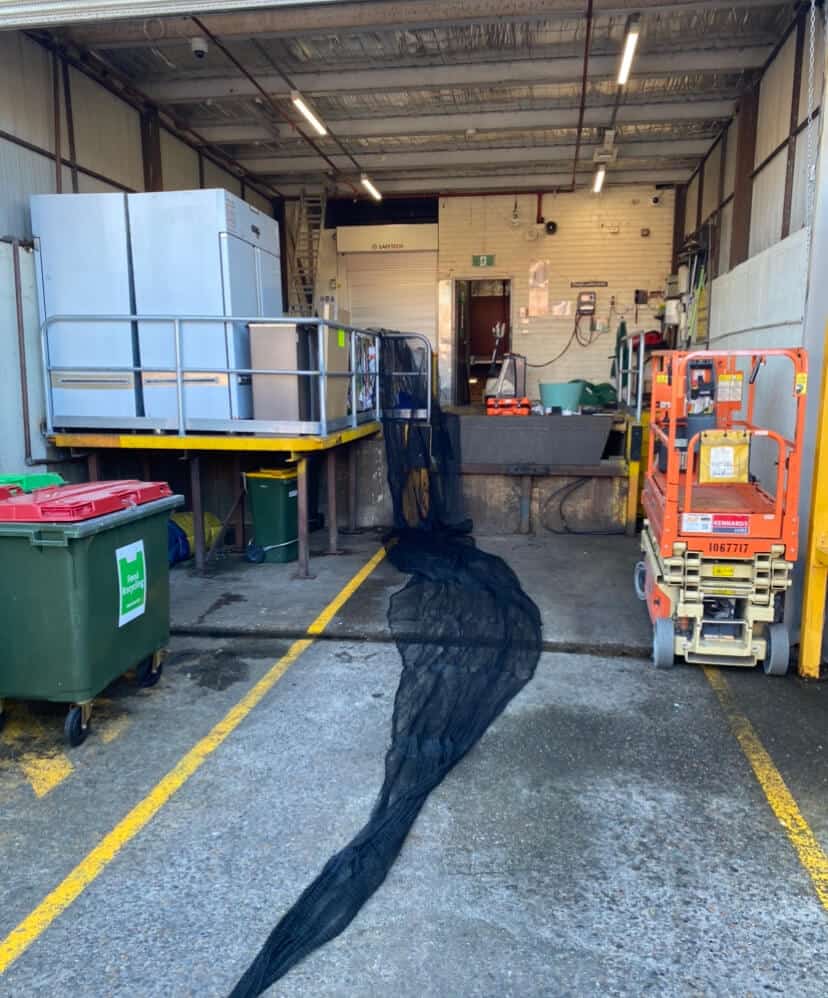 Bird Netting Installers The Professionals You Can Trust!