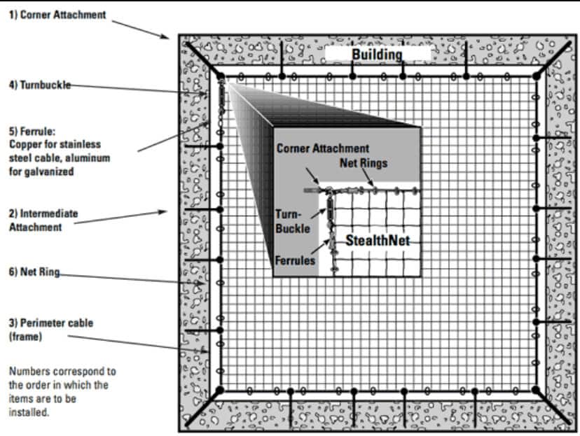· Clean & Green Pest Control Northern Beaches