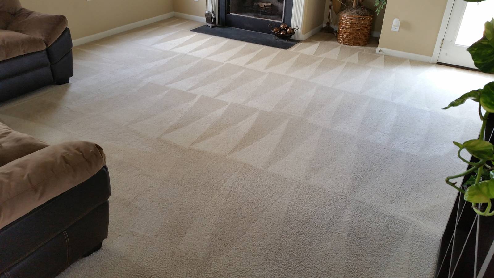 Best Carpet Steam Cleaning 79 Special for 2 Rooms