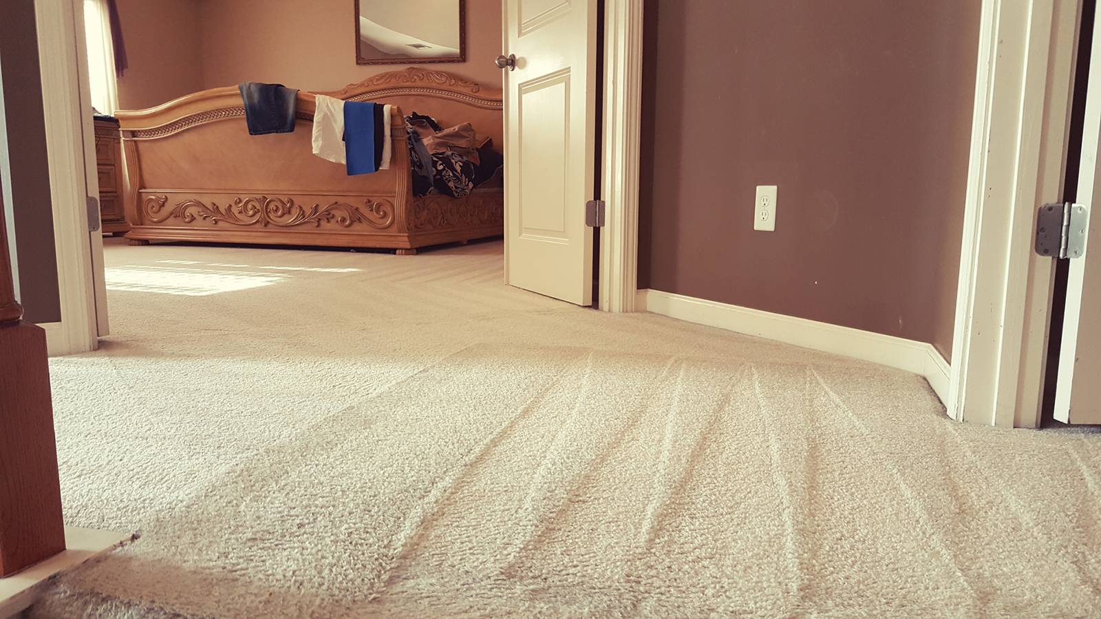 Best Carpet Steam Cleaning 79 Special for 2 Rooms