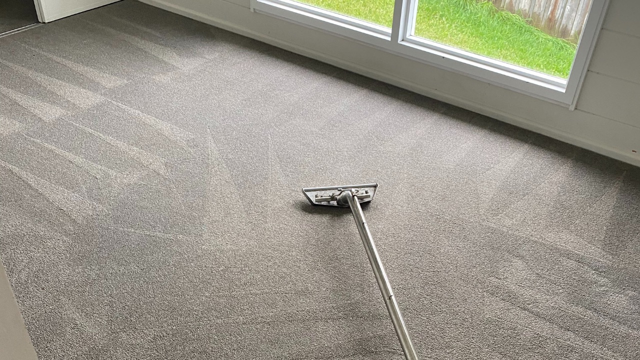 Carpet Cleaning Carpet cleaning specialists in North and West