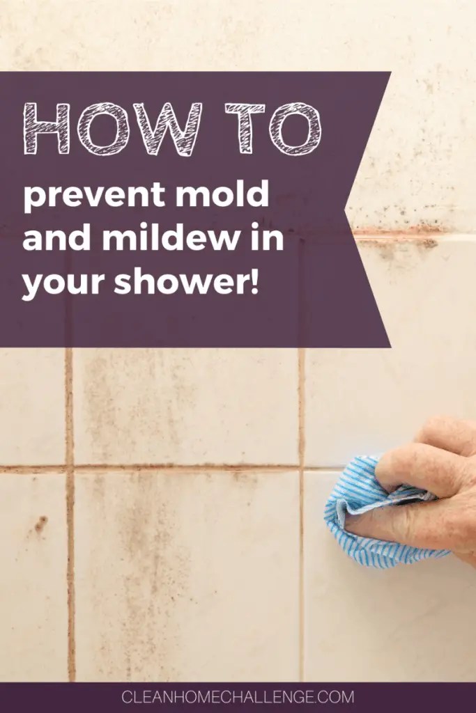 7 Best Shower Cleaners for Mold and Mildew (With Great Tips)