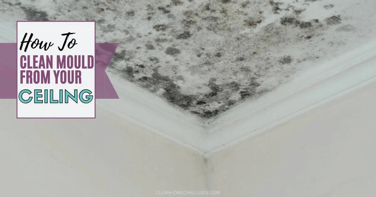How To Clean Mould From Your Ceiling