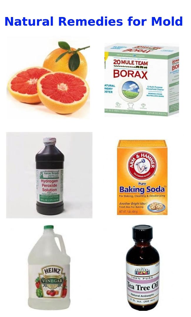 Treat and Prevent Mold and Mildew in Home and Cars Natural Remedies