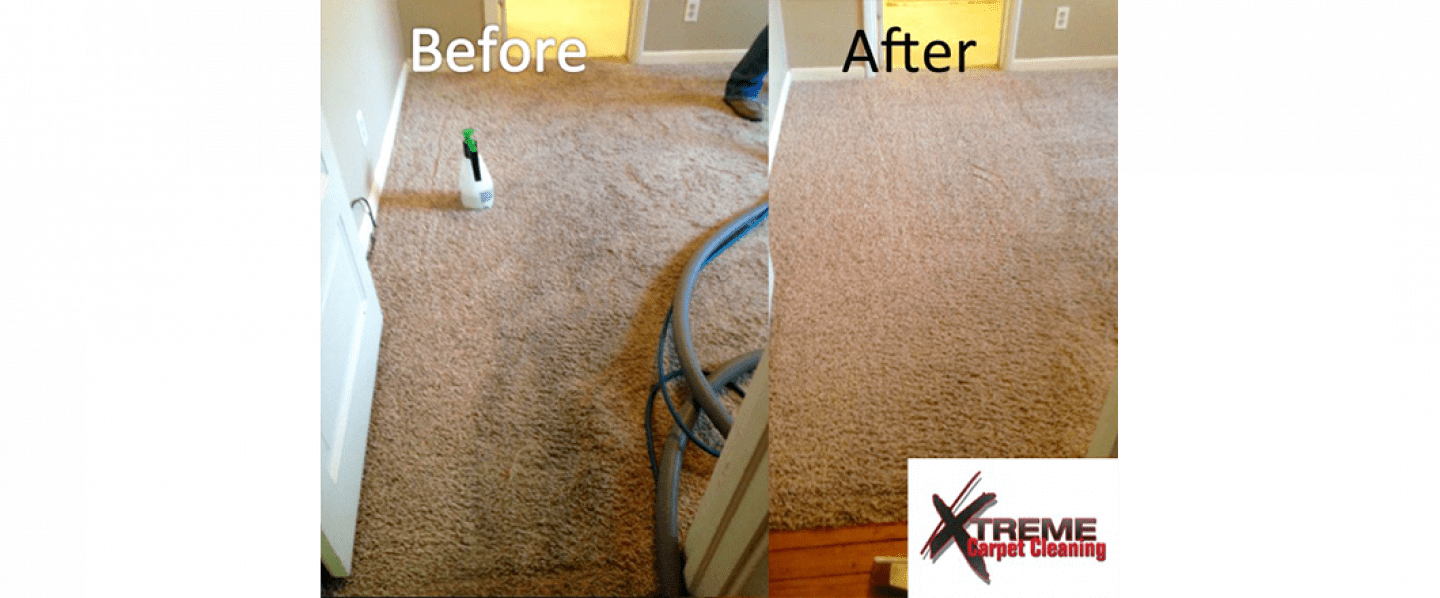 Gallery Xtreme Carpet Cleaning & Restoration