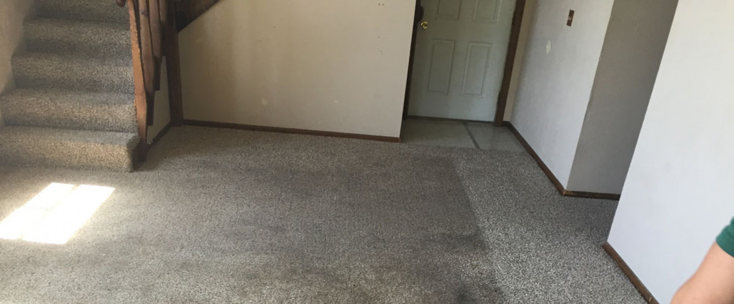 Gallery Xtreme Carpet Cleaning & Restoration