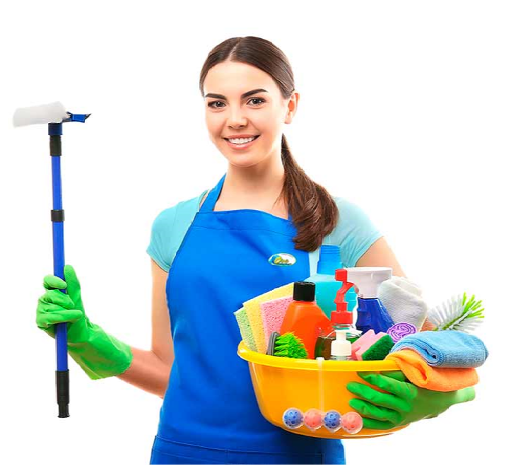 56 Top Pictures Cleaning Service App Los Angeles / Hollyway Cleaners At