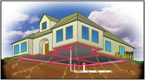 What You Need To Know About Termite Reticulation Systems Blogging Hub