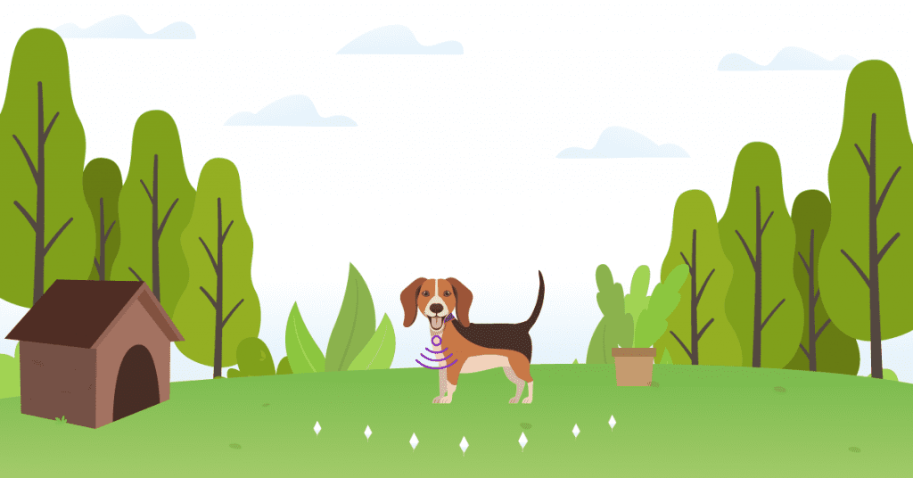 Are Wireless Dog Fences A Good Option For Your Pup?