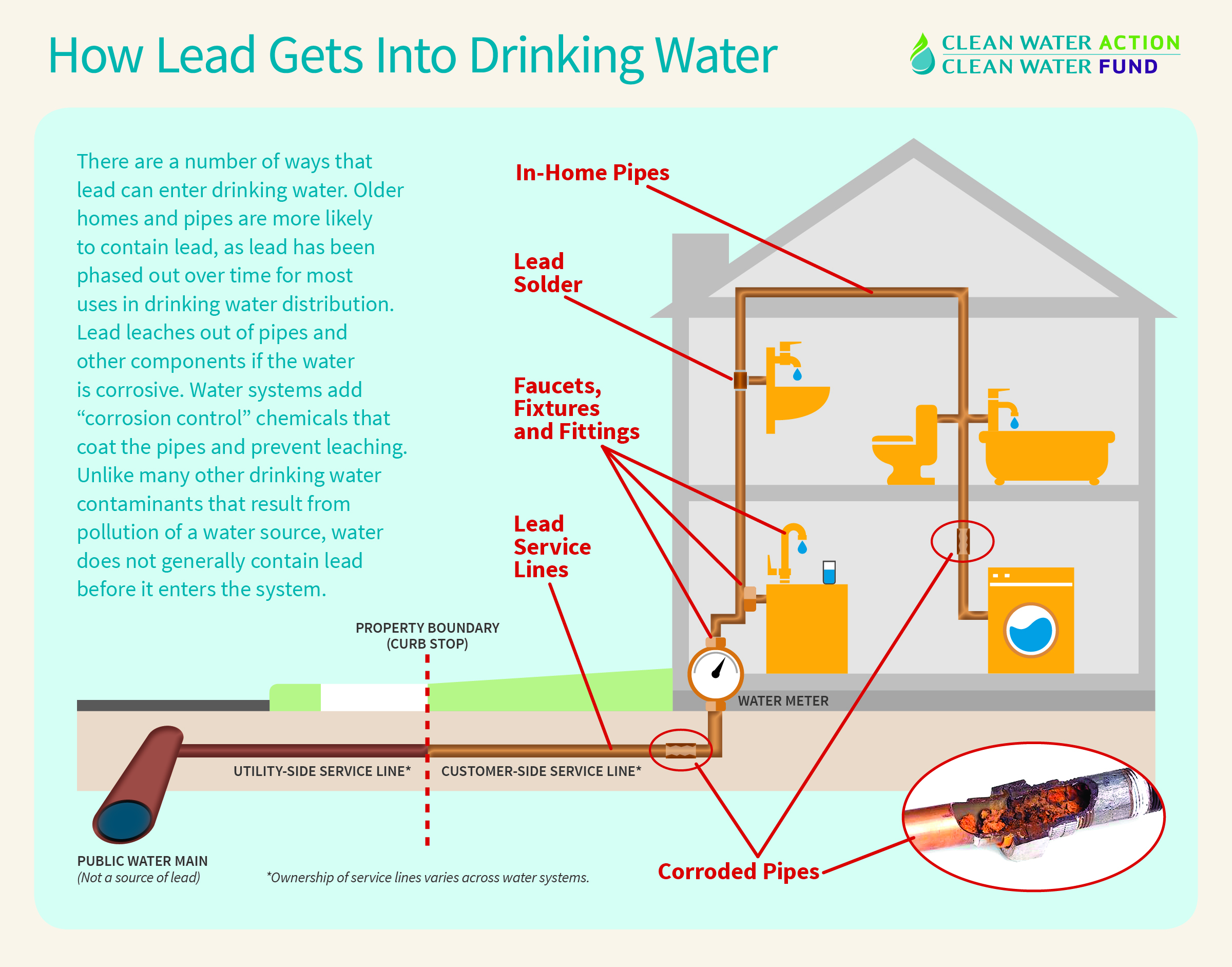 Minnesota Guide to Lead in Our Drinking Water and Lead Service Lines