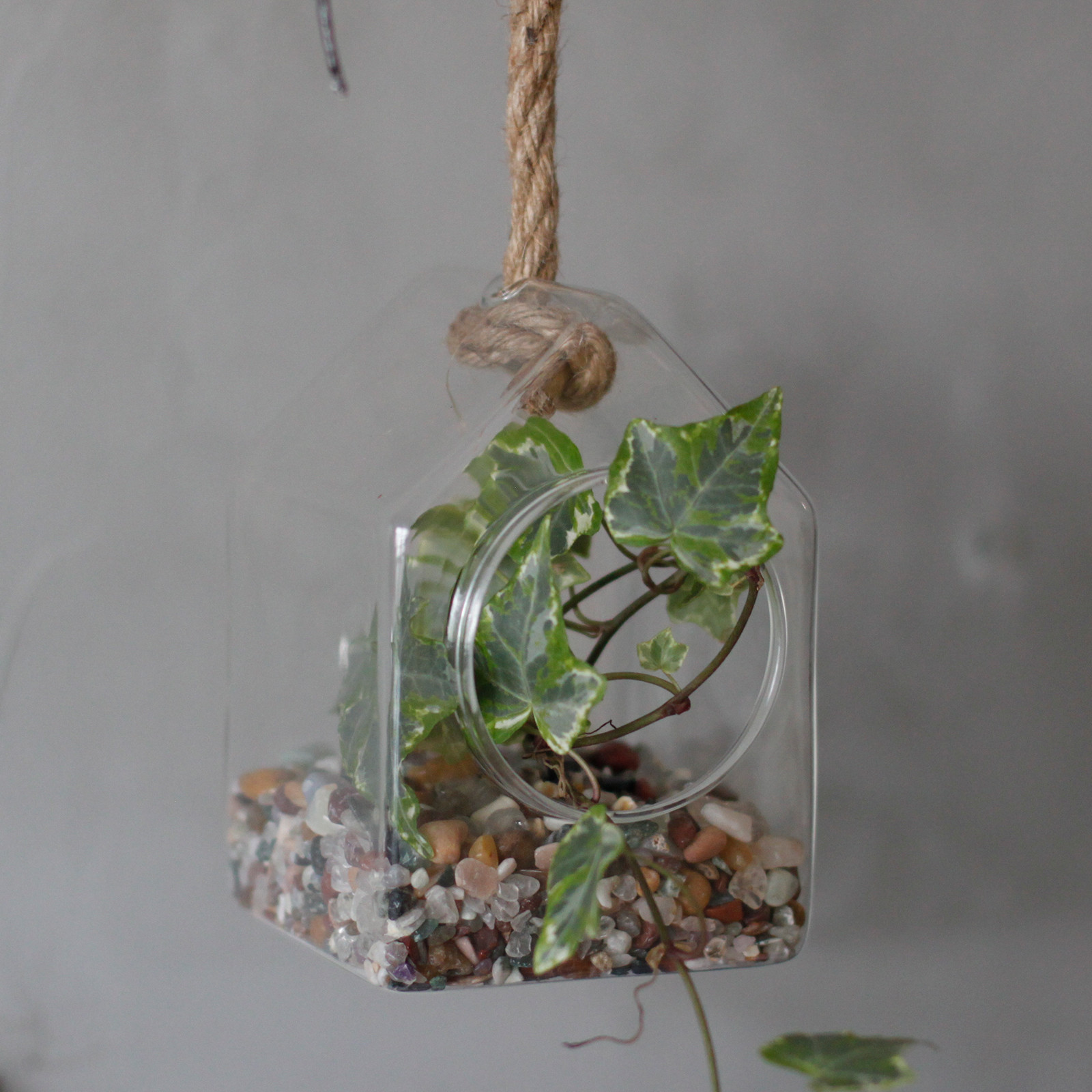 Small Hanging Glass Terrarium for Plants Clear Air Inside