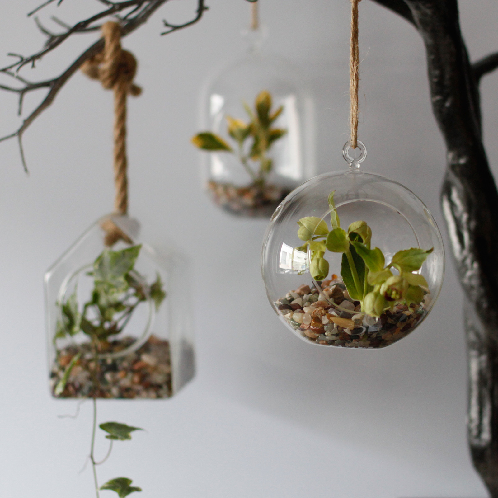 Small Hanging Glass Terrarium for Plants Clear Air Inside