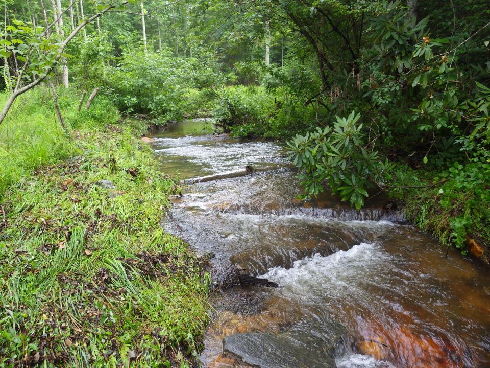 About Clear Creeks Consulting