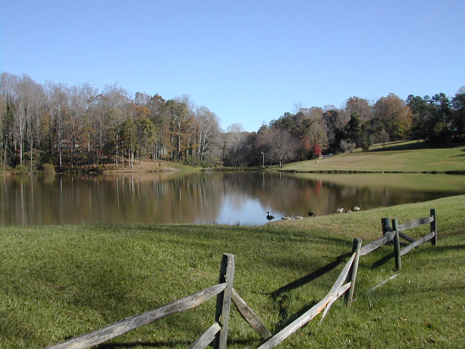 Lake Hills Clear Creeks Consulting