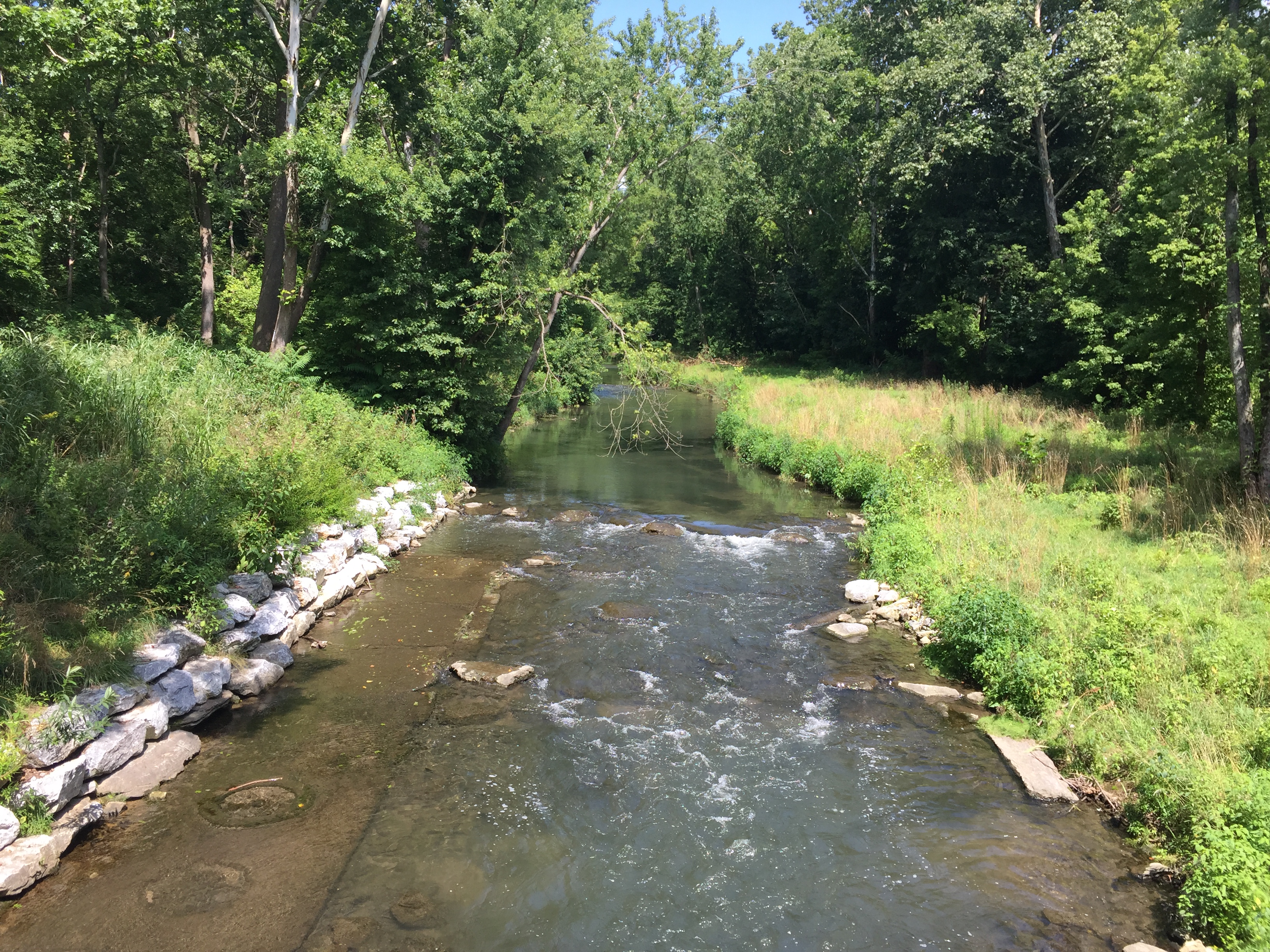 Quittie Creek Nature Park Clear Creeks Consulting