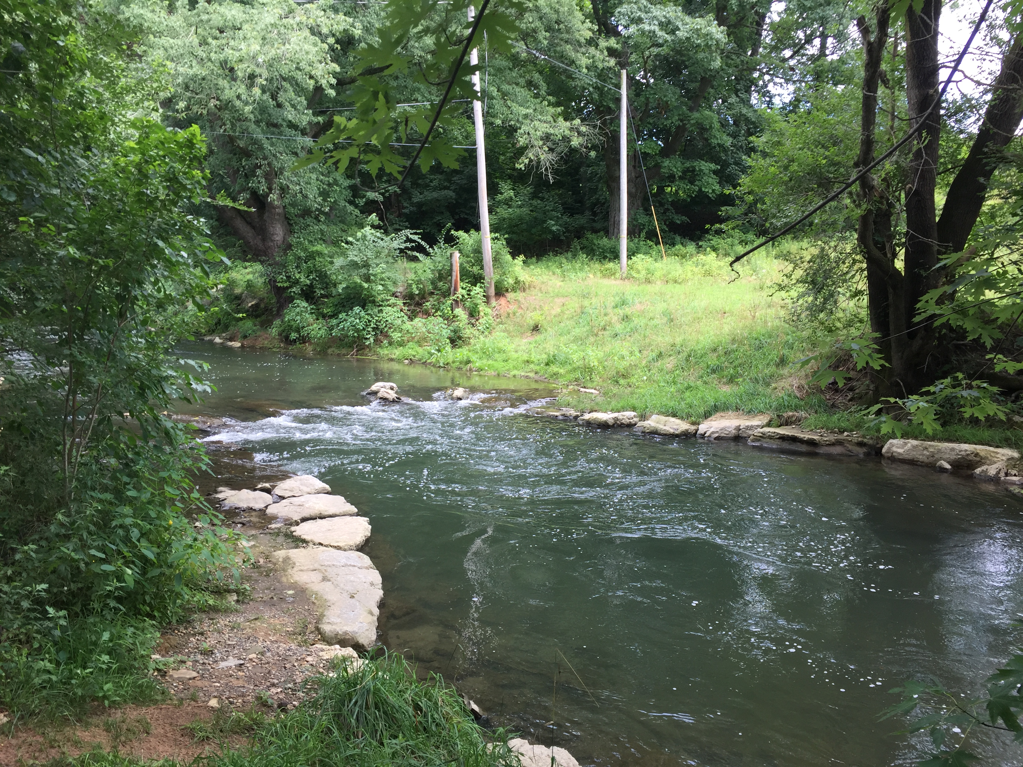 Quittie Creek Nature Park Clear Creeks Consulting