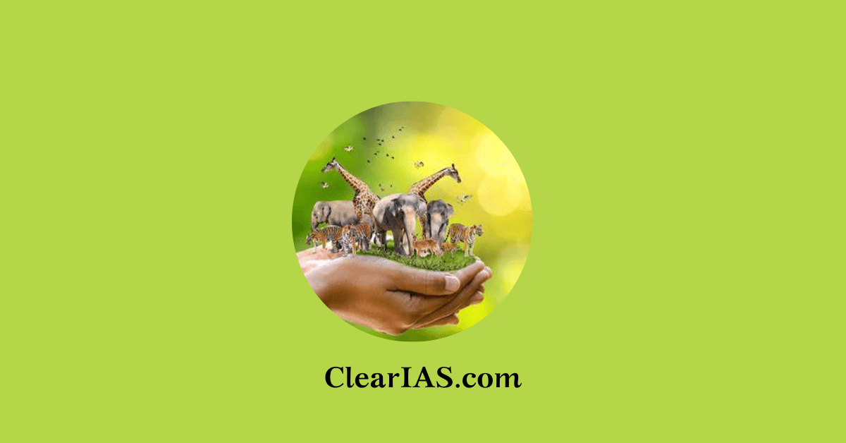 Wildlife Conservation Projects ClearIAS