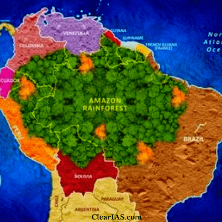 Amazon Rainforest Significance and Threats ClearIAS