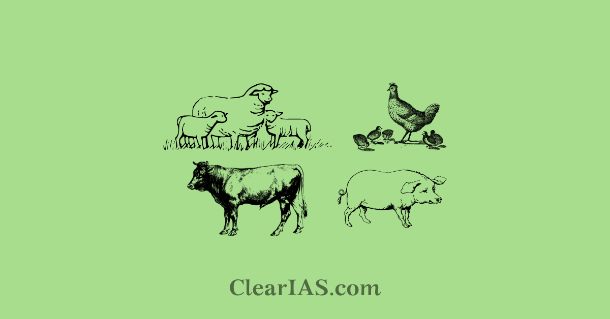 Economics of Animal Rearing ClearIAS