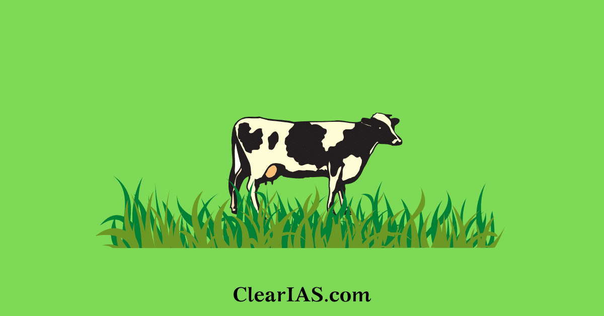 Dairy Sector In India Significance, Challenges and Way forward ClearIAS
