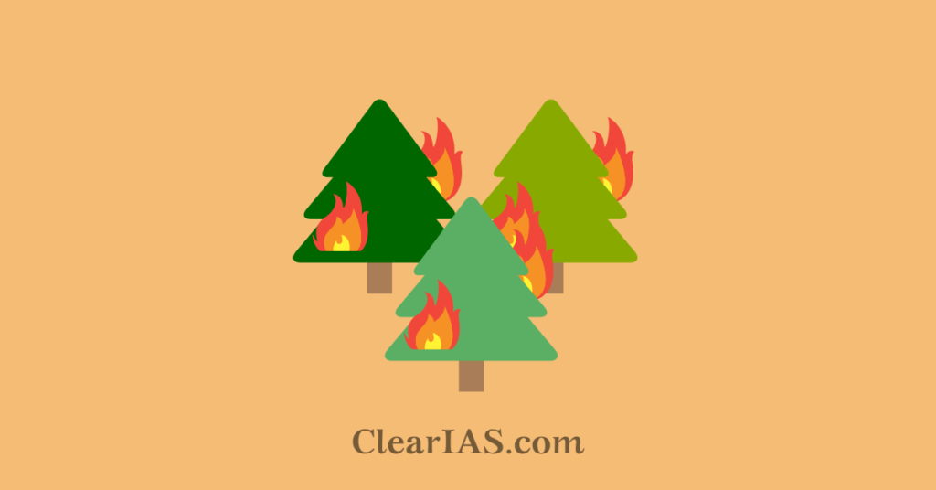 Forest Fires Causes, Types and Effects ClearIAS