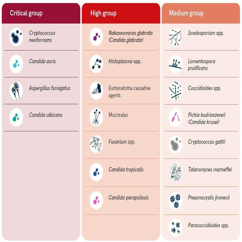 Fungal Diseases ClearIAS