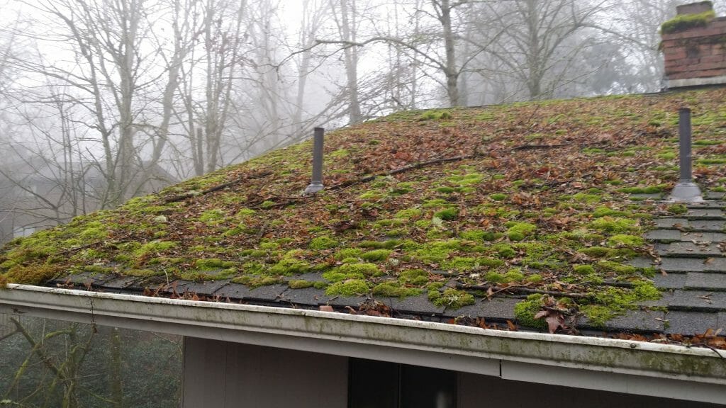 How To Get Moss Off Retaining Wall at Marie Stoltzfus blog