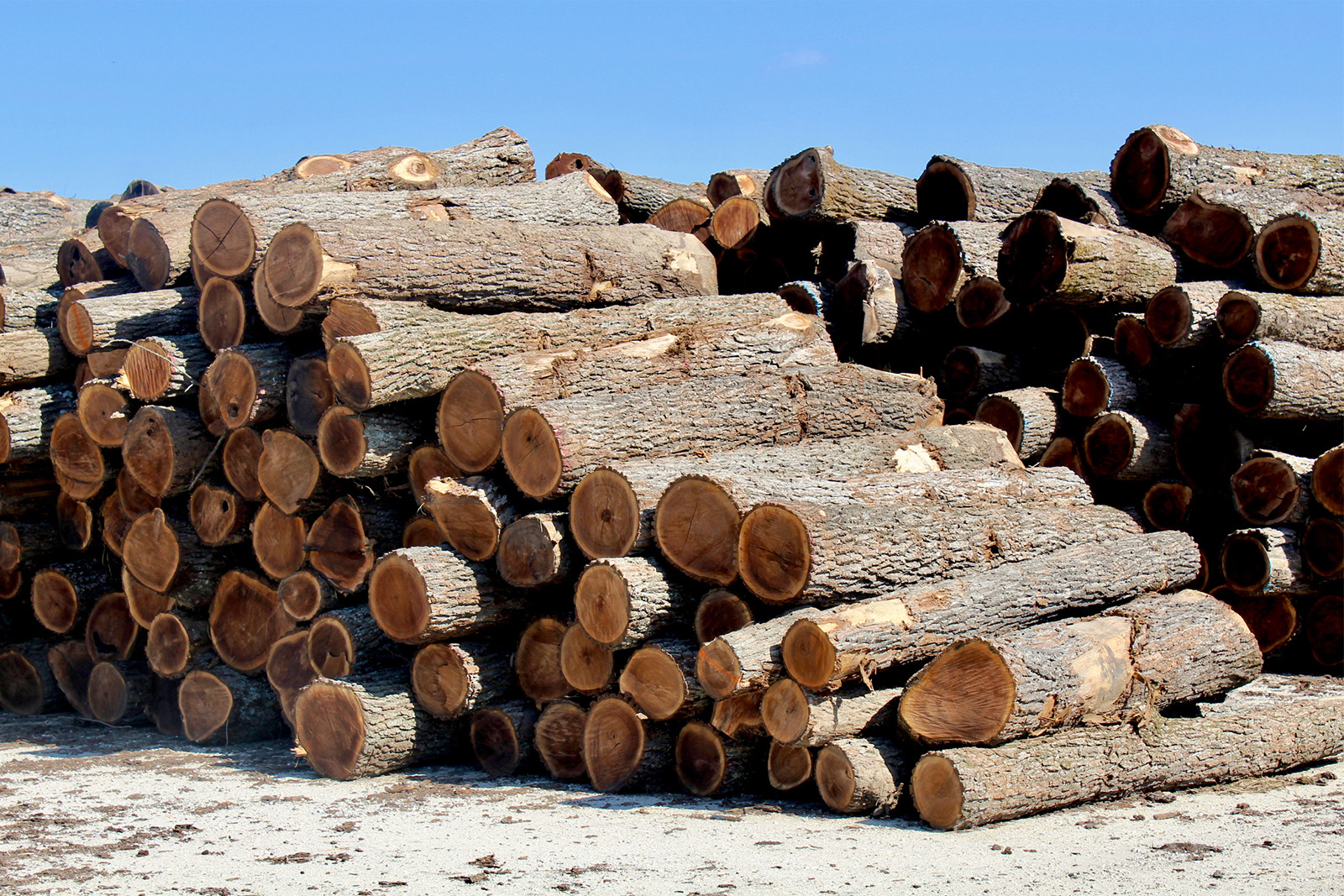 Missouri Pacific Lumber Clearpage