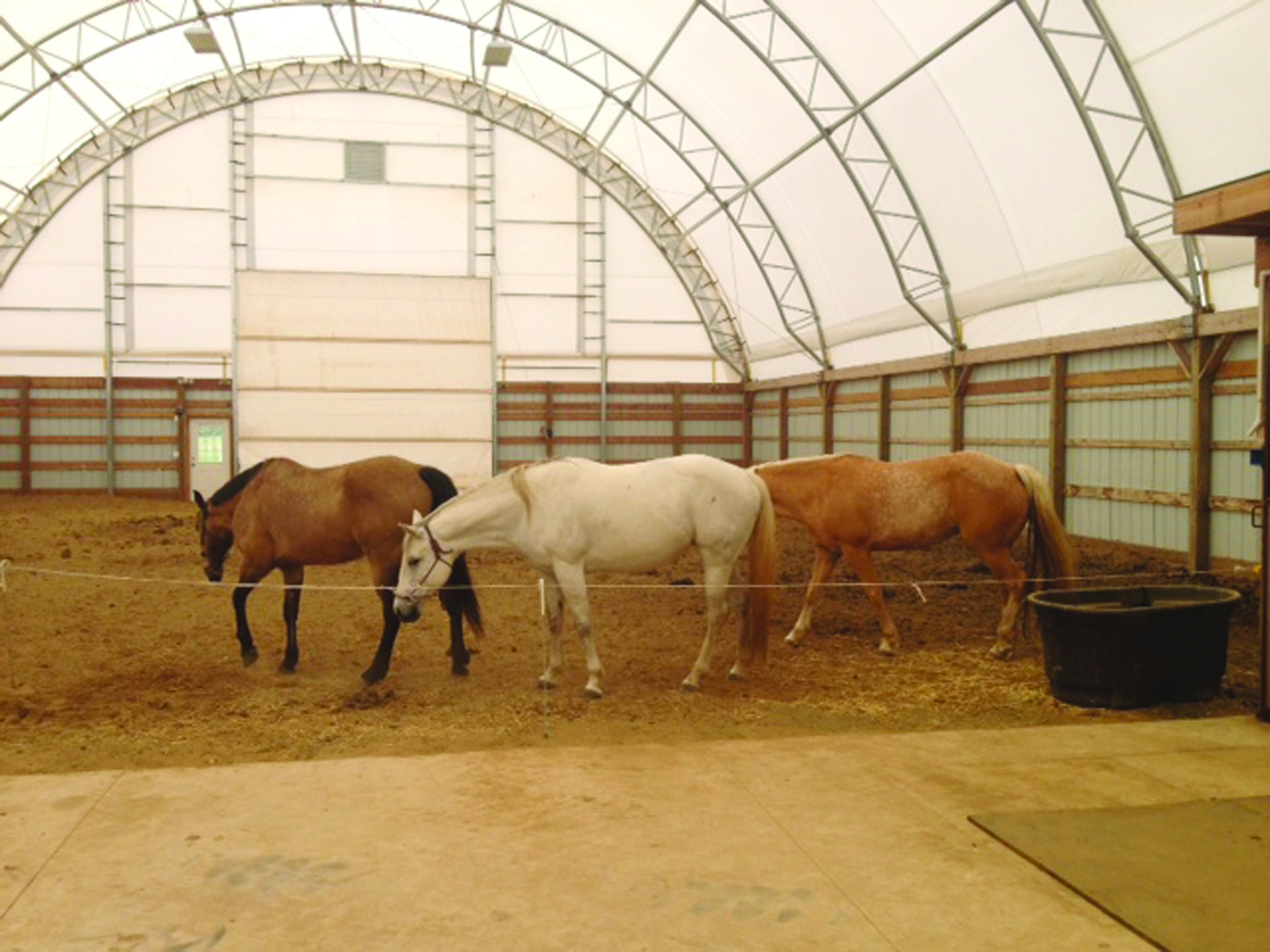 Indoor Rodeo Arena & Horse Arena ClearSpan Structures