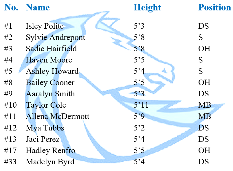 Freshman A Roster Clear Springs Volleyball